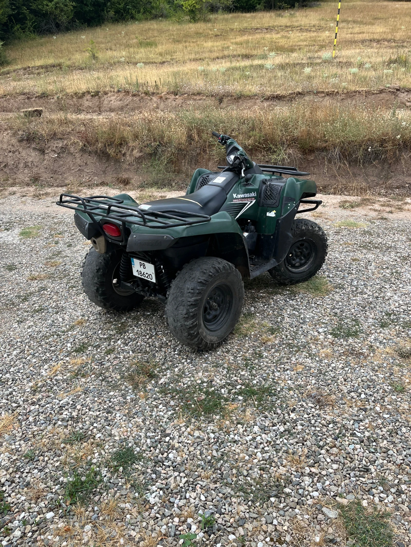 Kawasaki Brute Force 650 - изображение 3