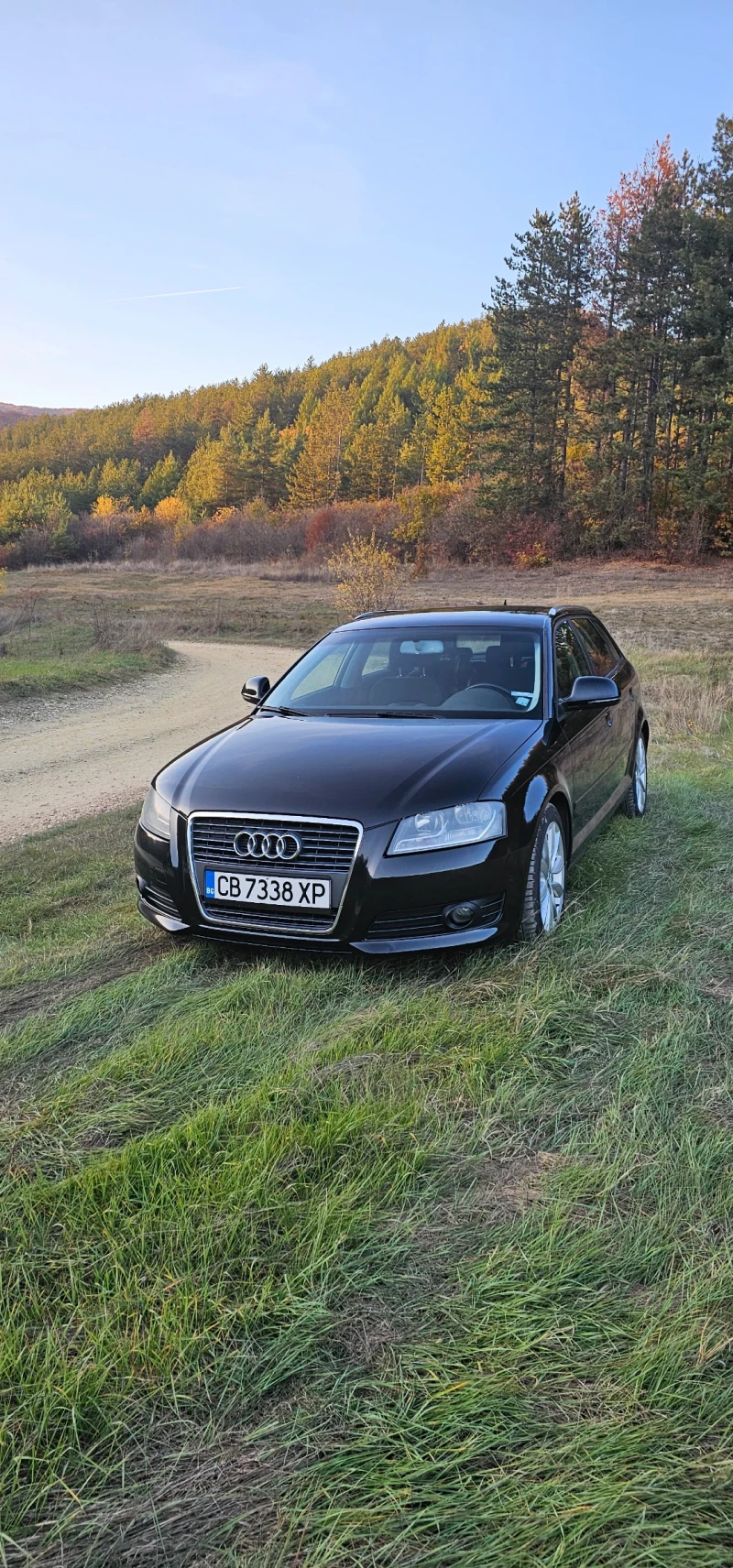 Audi A3 1.8T, снимка 1 - Автомобили и джипове - 48458856