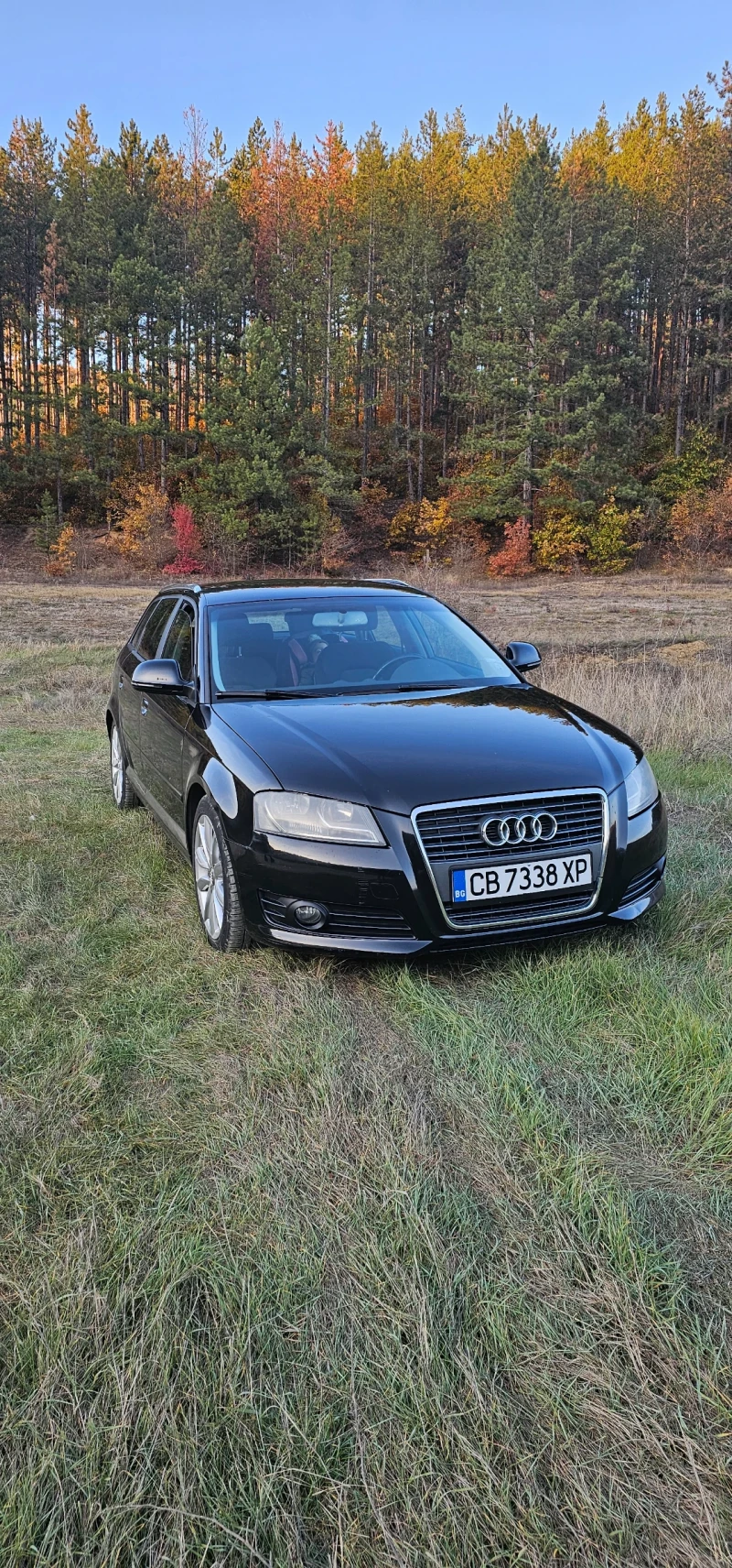 Audi A3 1.8T, снимка 2 - Автомобили и джипове - 48458856