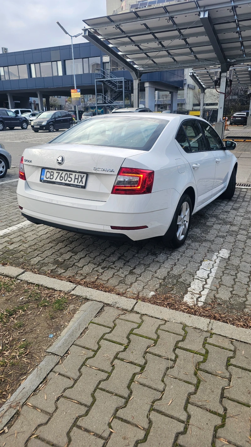 Skoda Octavia TDI, ЕДИН СОБСТВЕНИК, РЕАЛНИ КИОМЕТРИ., снимка 3 - Автомобили и джипове - 52640433