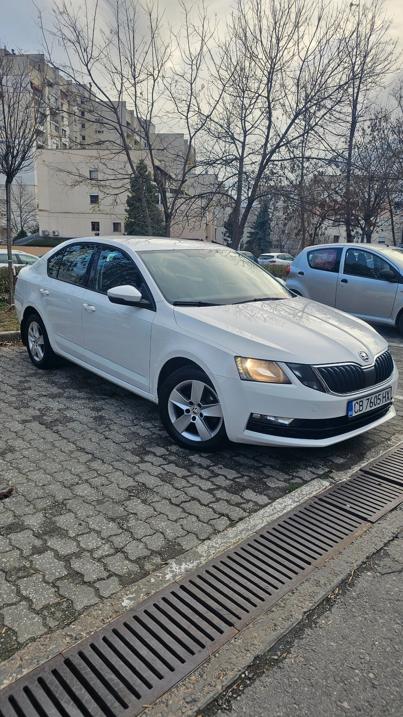 Skoda Octavia TDI, ЕДИН СОБСТВЕНИК, РЕАЛНИ КИОМЕТРИ. - изображение 2