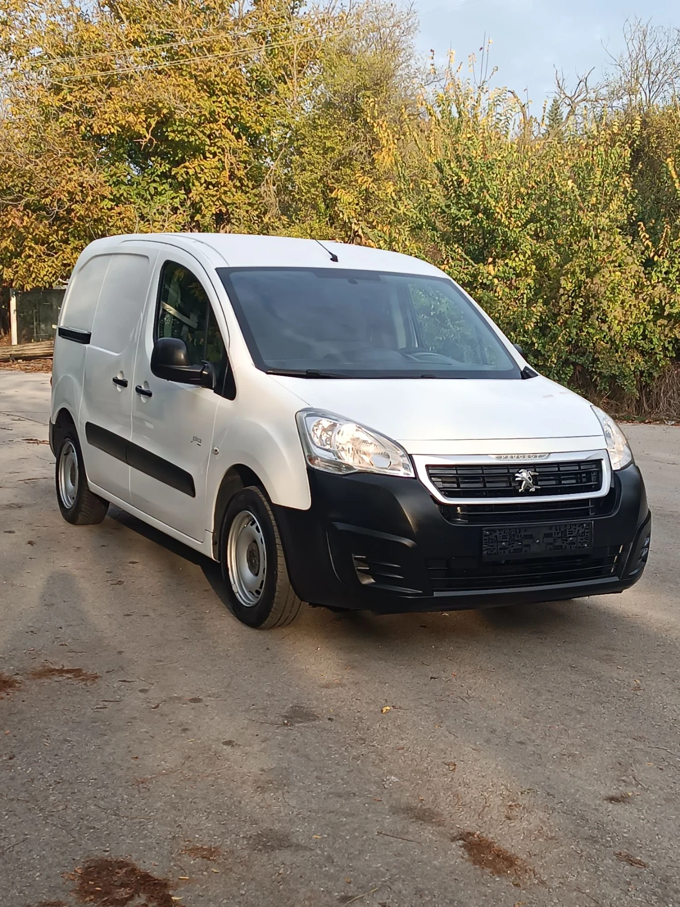 Peugeot Partner 1.6 blueHDi