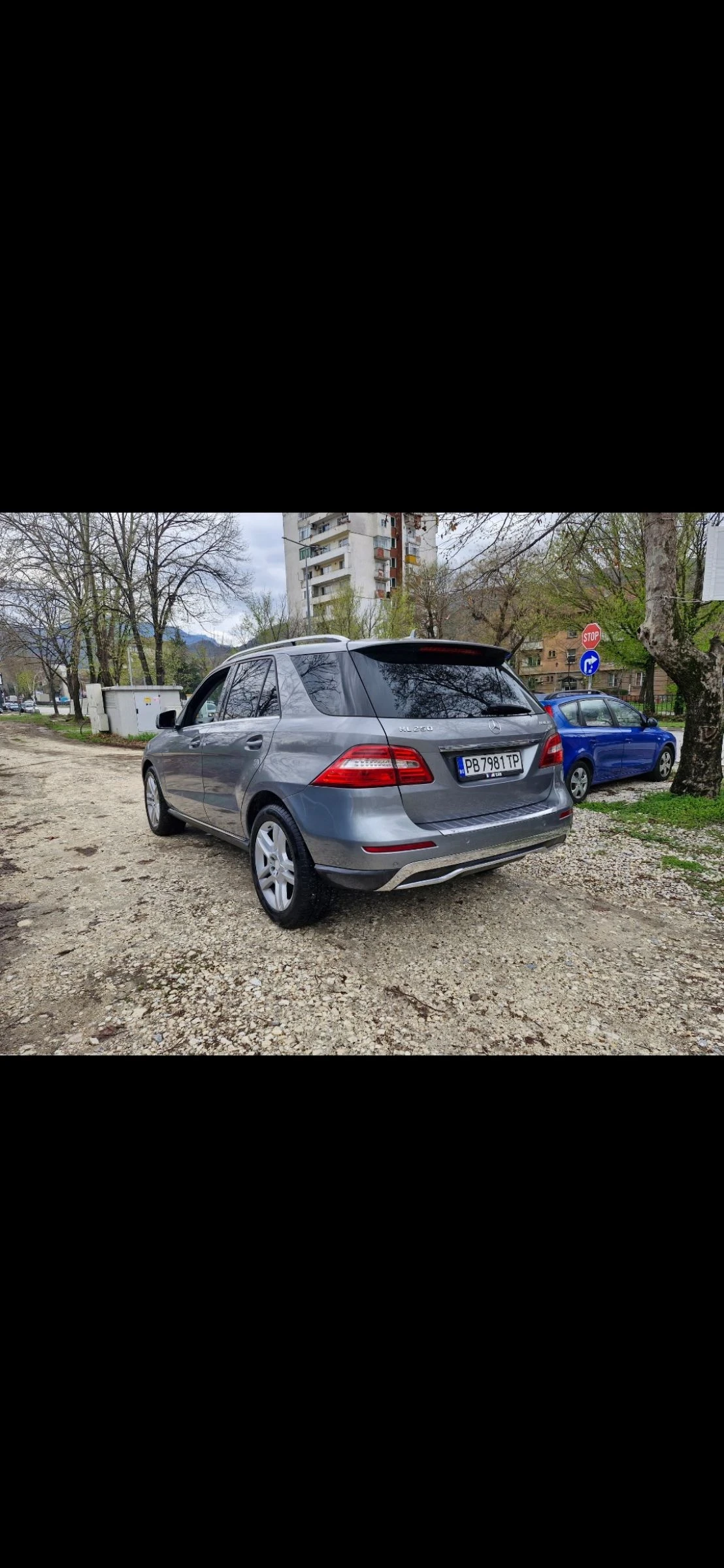 Mercedes-Benz ML 250 204 к.с. BLUETEC - изображение 7