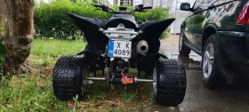 Yamaha Raptor, снимка 13