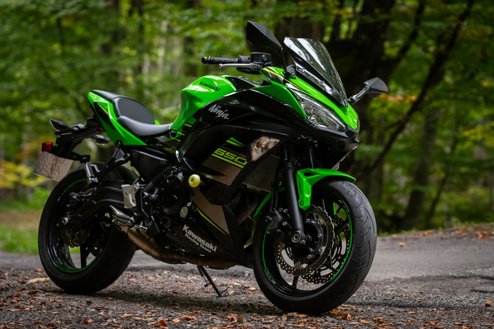 Kawasaki Ninja, снимка 1