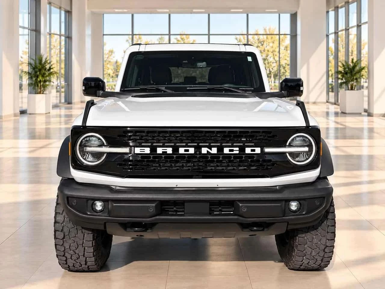 Ford Bronco, снимка 3 - Автомобили и джипове - 56717934