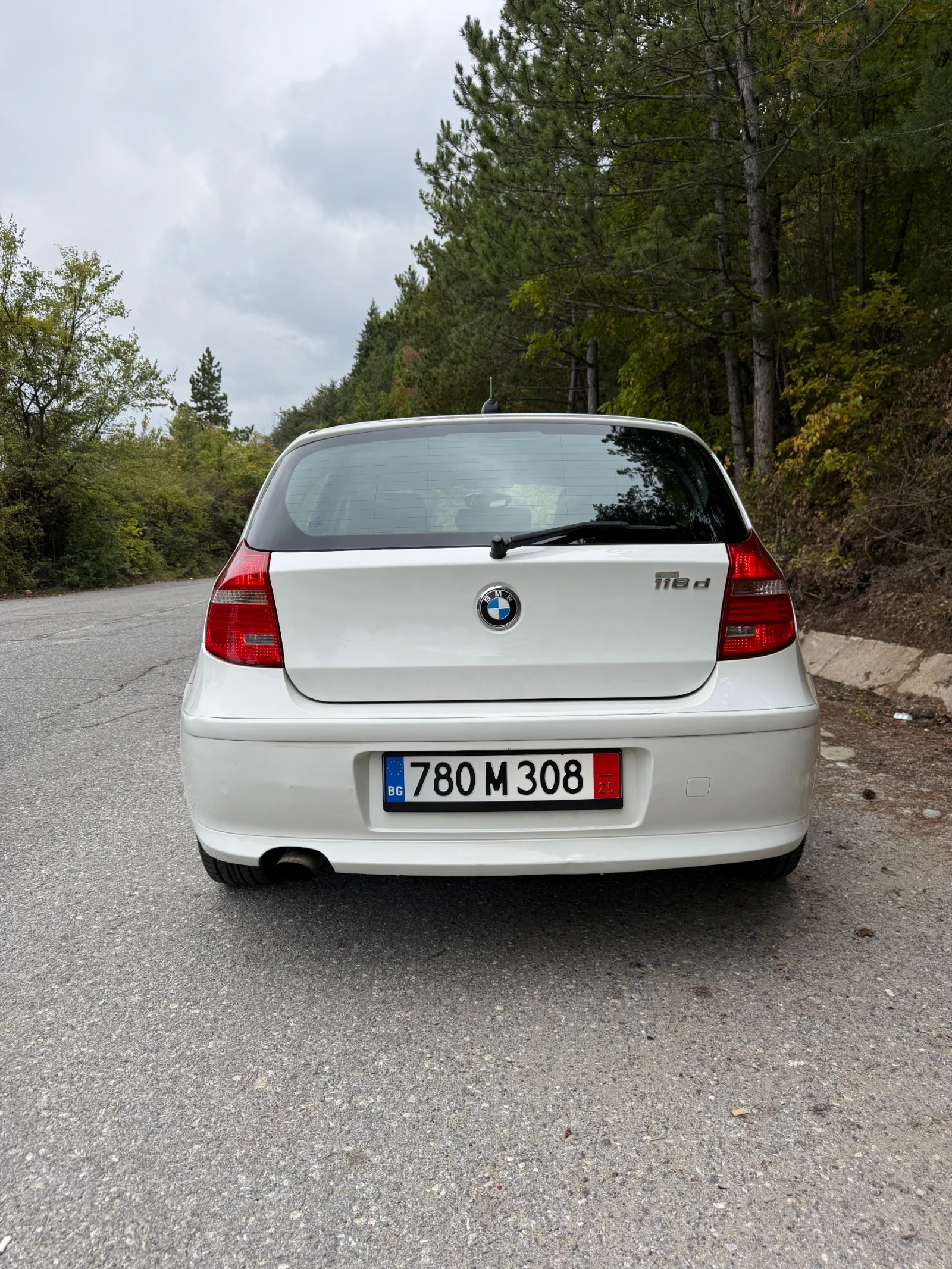 BMW 116 116d - изображение 8