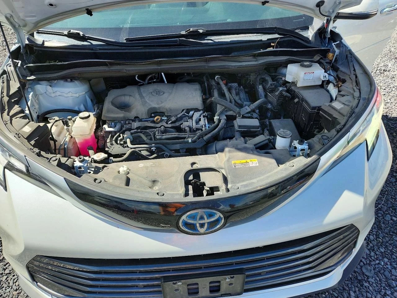 Toyota Sienna, снимка 12 - Автомобили и джипове - 56689909