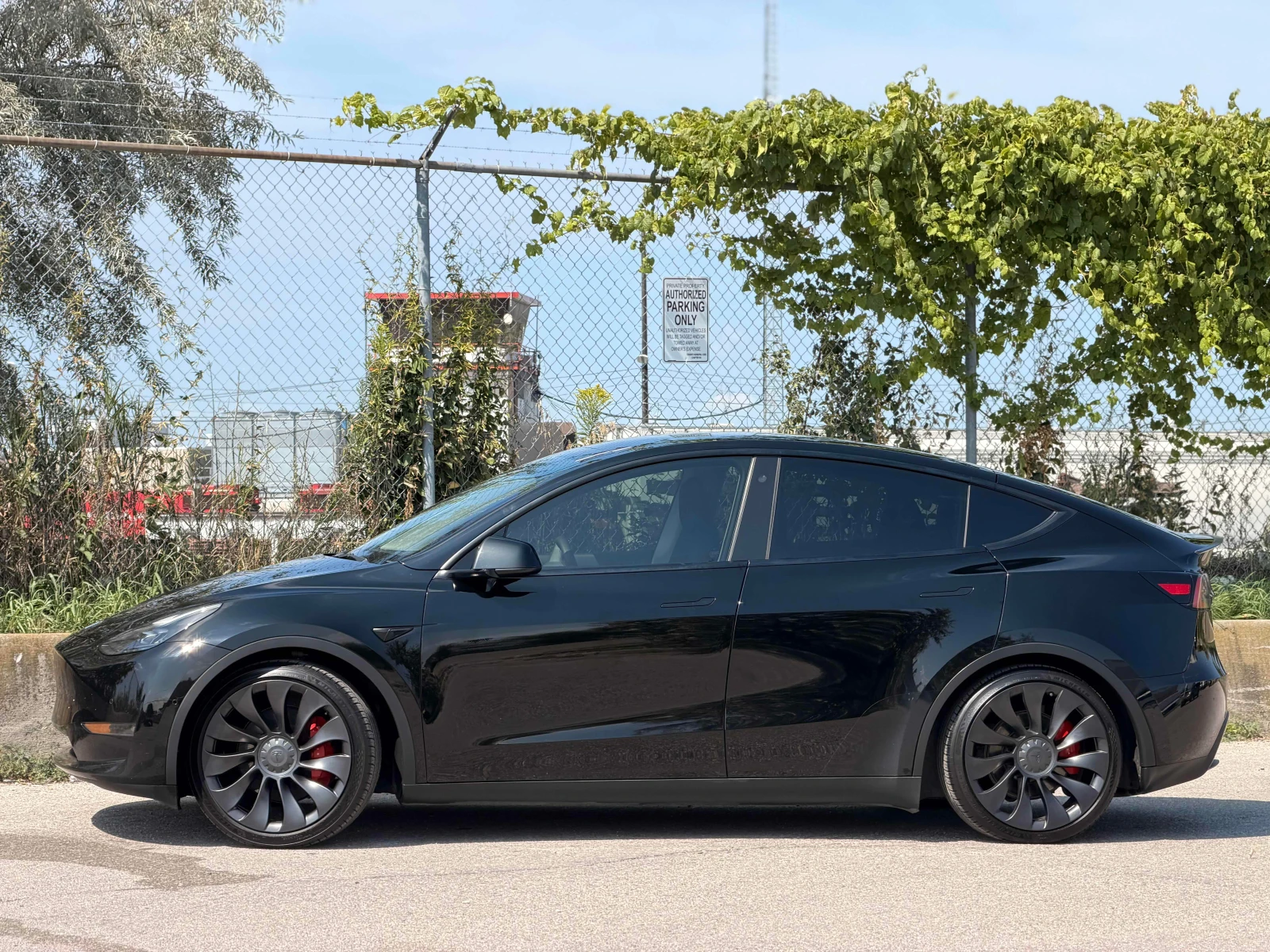 Tesla Model Y Performance AWD carogantno.com, снимка 2 - Автомобили и джипове - 55966263