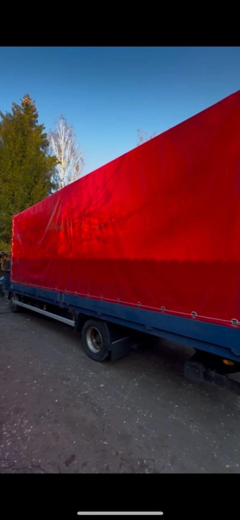 Daf Lf  - изображение 4