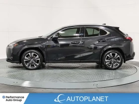 Lexus UX 250h Premium AWD - 29454 € - 19577221 4