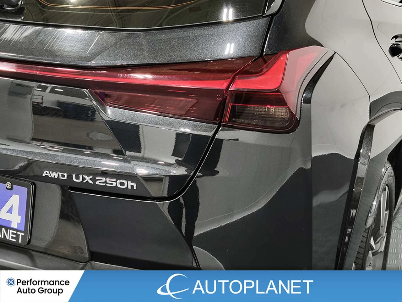 Lexus UX 250h Premium AWD, снимка 11 - Автомобили и джипове - 56653862