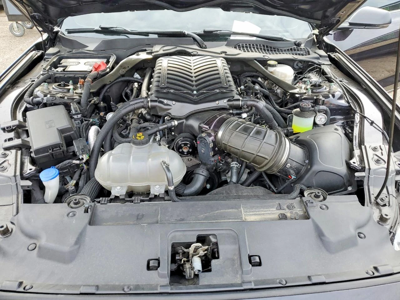 Ford Mustang * 5.0* Mach I* , снимка 11 - Автомобили и джипове - 54364546