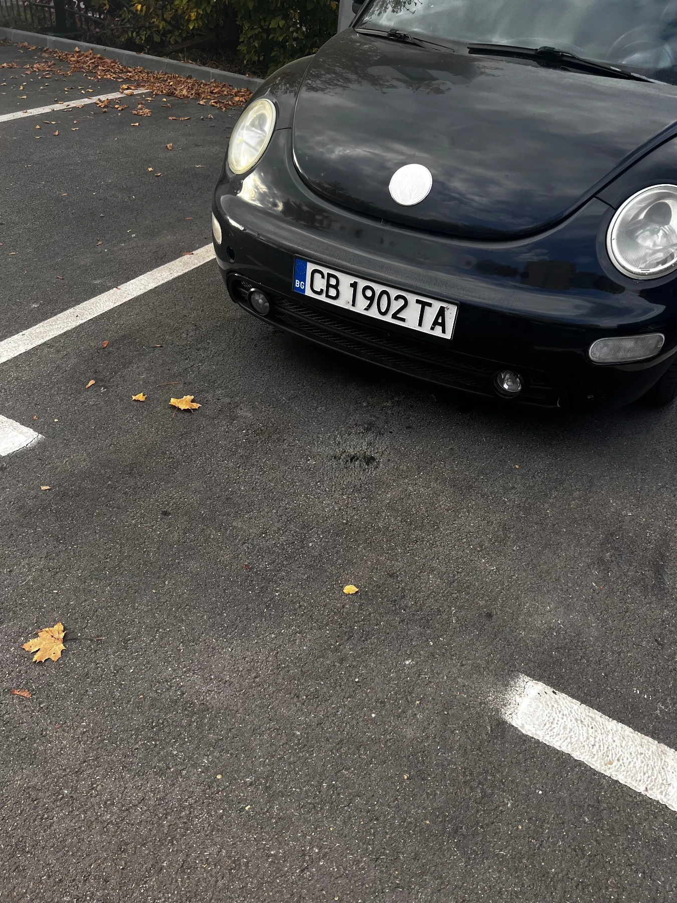 VW Beetle 2.0 газ/бензин/подгрев
