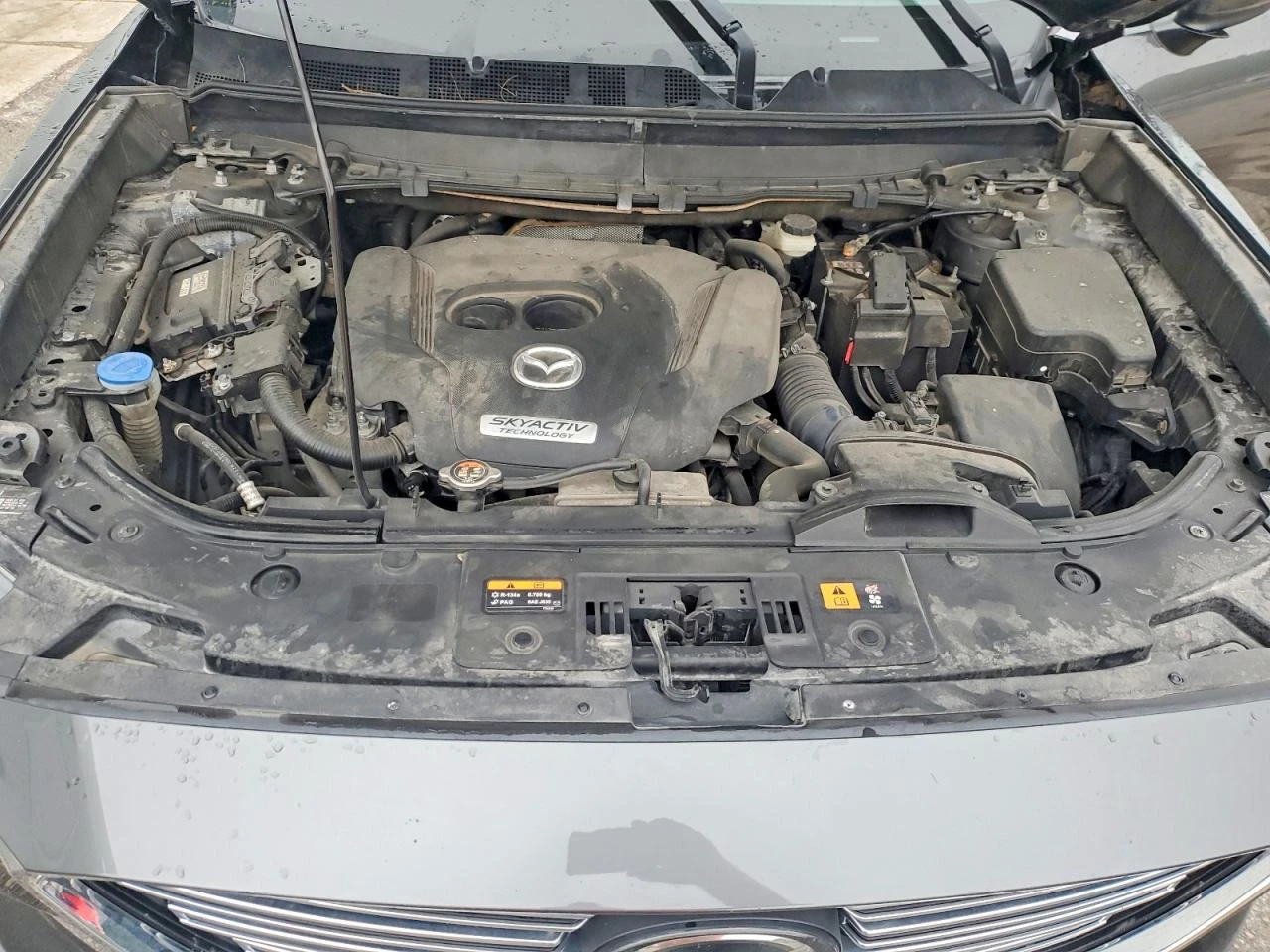 Mazda CX-9 2.5l Signature | Mobile.bg � ����������� 12