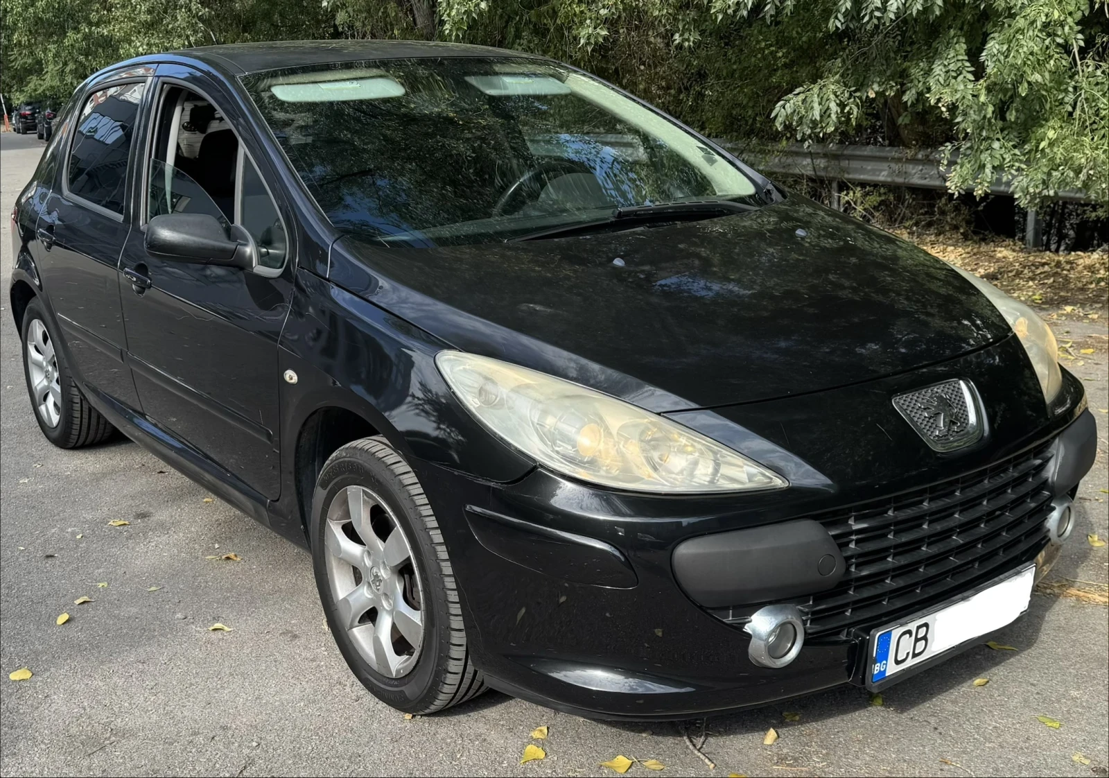 Peugeot 307 1.6hdi, снимка 6 - Автомобили и джипове - 55785523