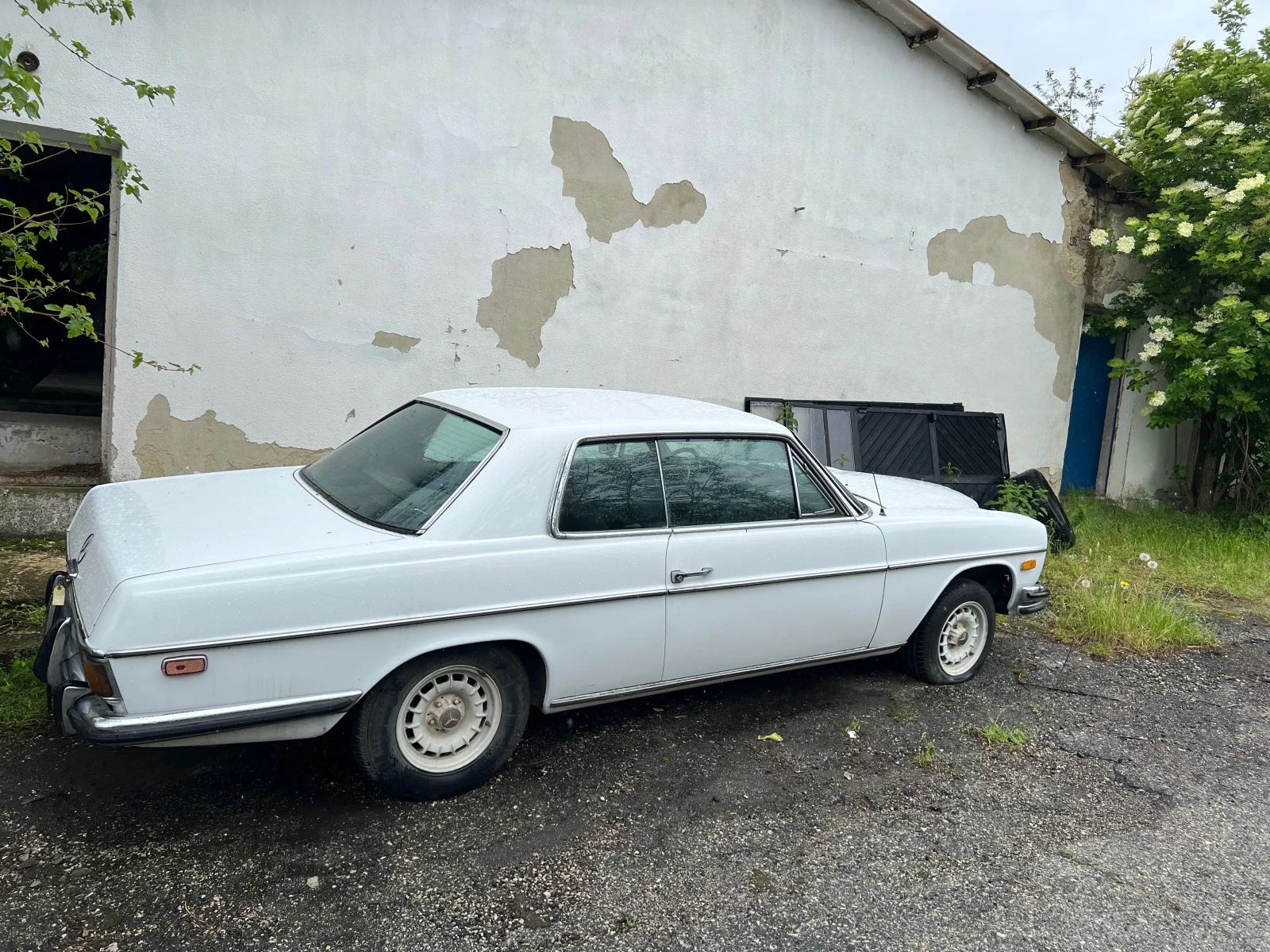 Mercedes-Benz 250 ci - изображение 6