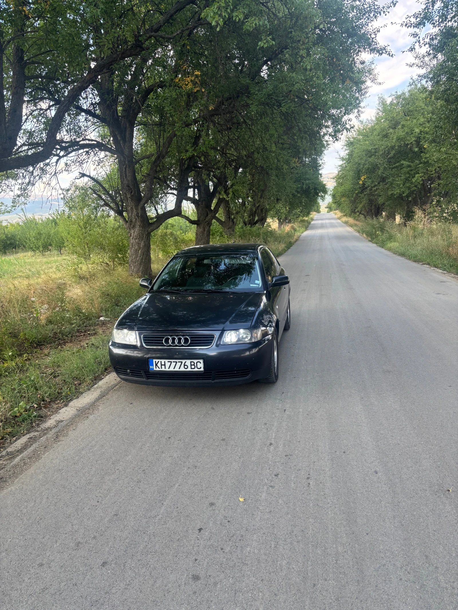 Audi A3 1.9 TDI | Mobile.bg   1