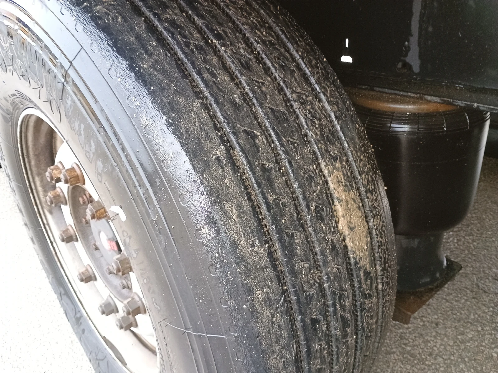  Koegel | Mobile.bg   10