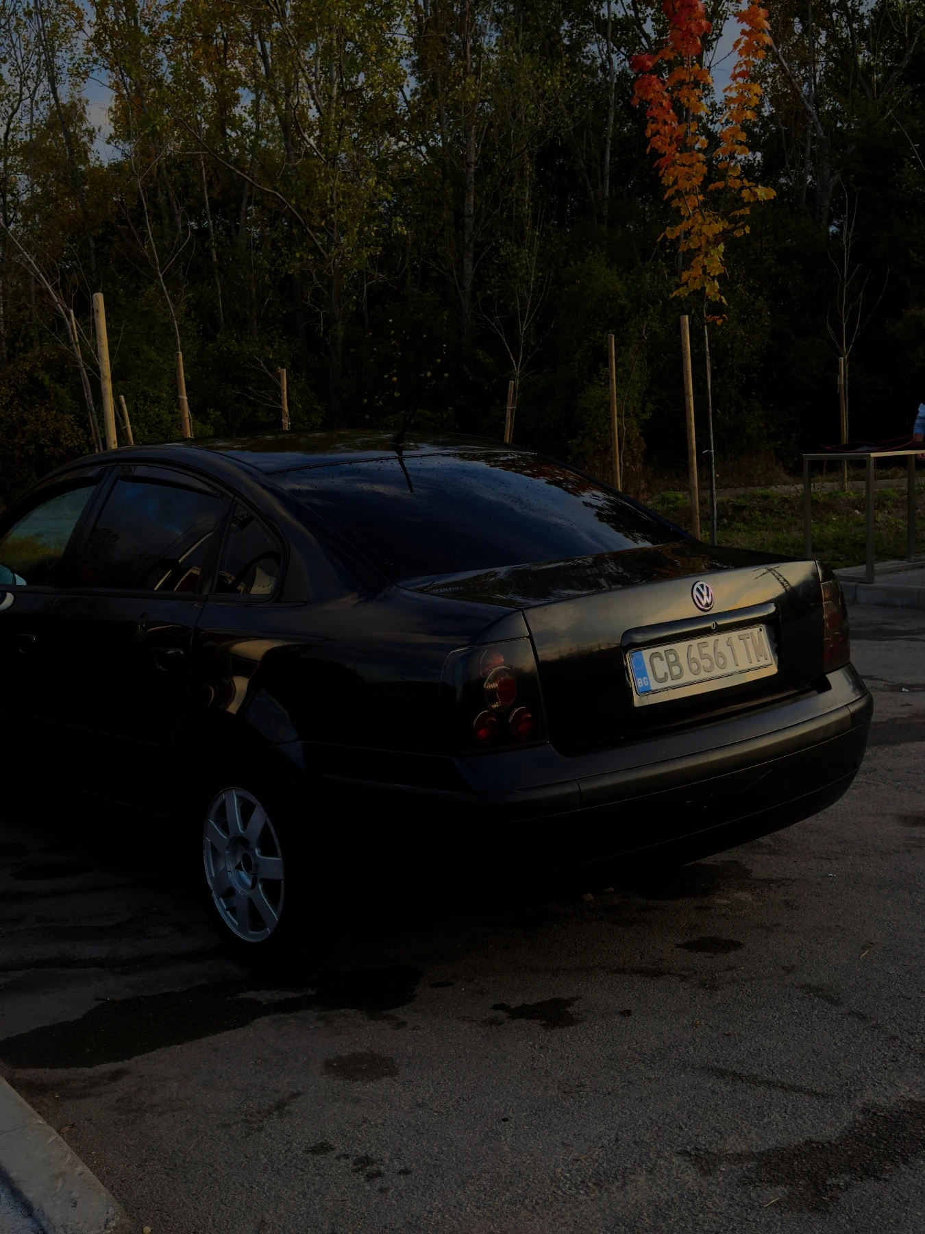 VW Passat, снимка 3 - Автомобили и джипове - 54569315