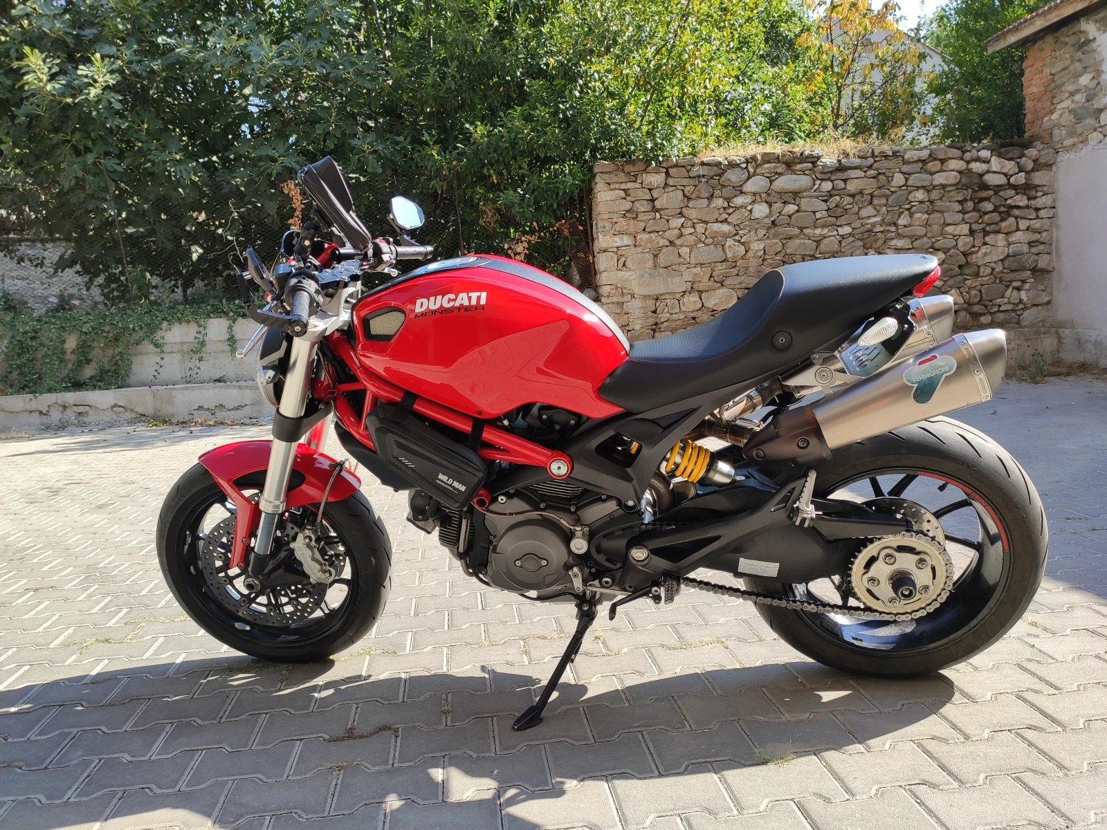 Ducati Monster 796 - изображение 3