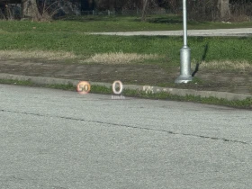 Mazda MX-30 35.5kWh PREMIUM | 360  | BOSE | Панорама | HUD - 14990 € / 29317.89 лв. - 40501808 11