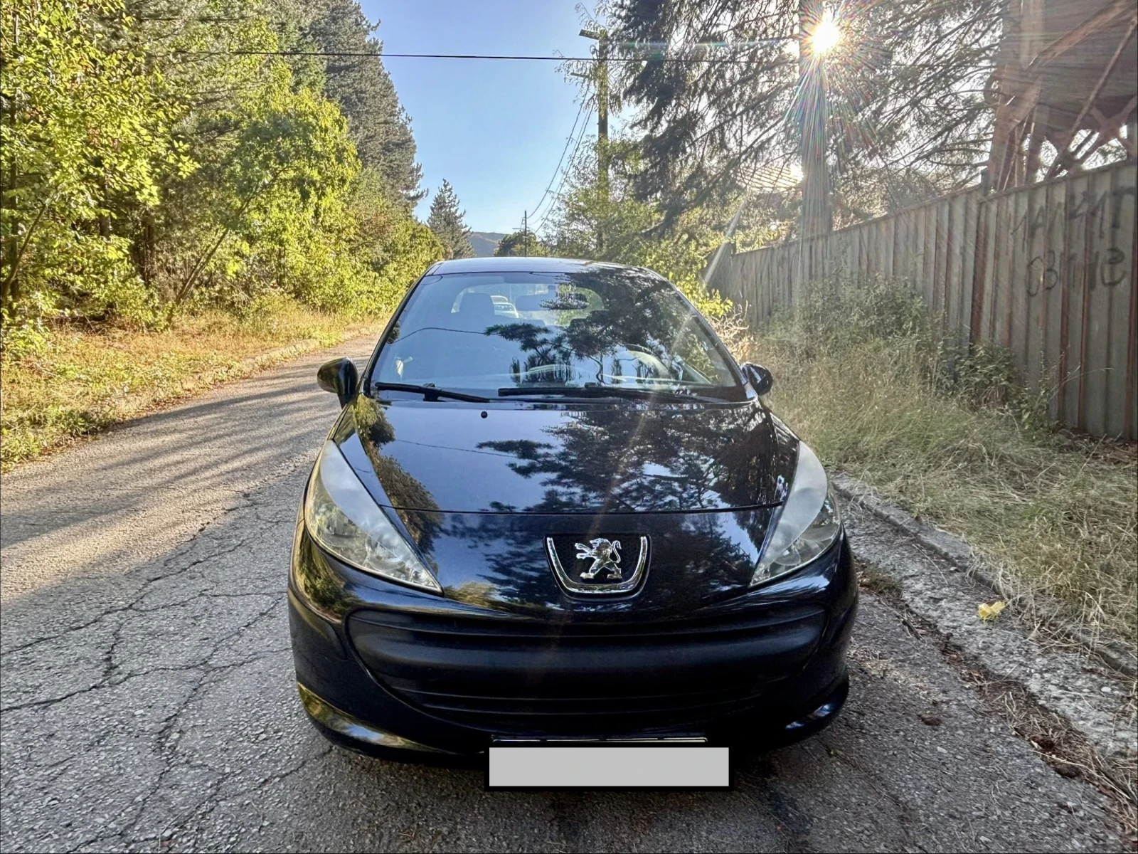 Peugeot 207 1.6 HDI, снимка 3 - Автомобили и джипове - 55980873