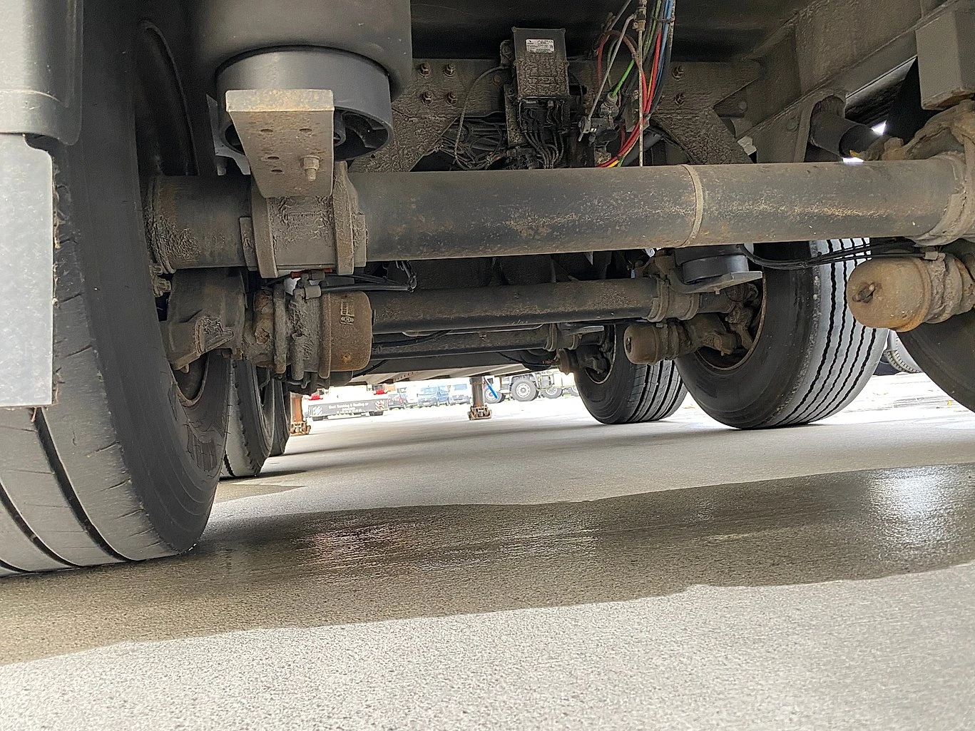  Schmitz Cargobull Frigo | Mobile.bg   12