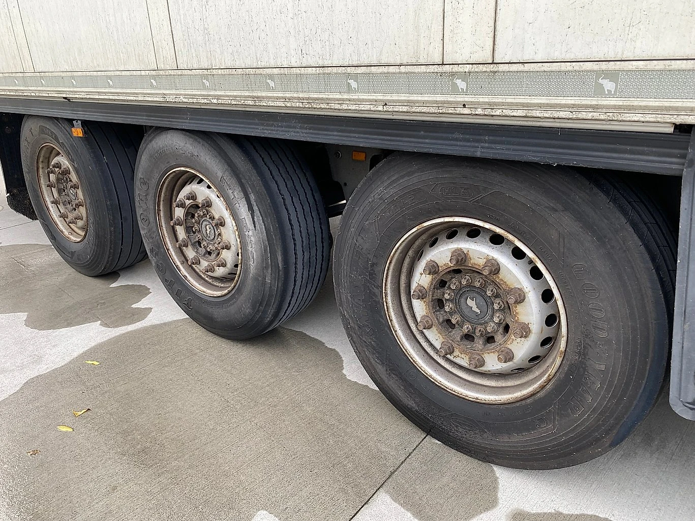  Schmitz Cargobull Frigo | Mobile.bg   14