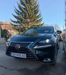     Lexus NX 300 NX300 AWD 4x4 