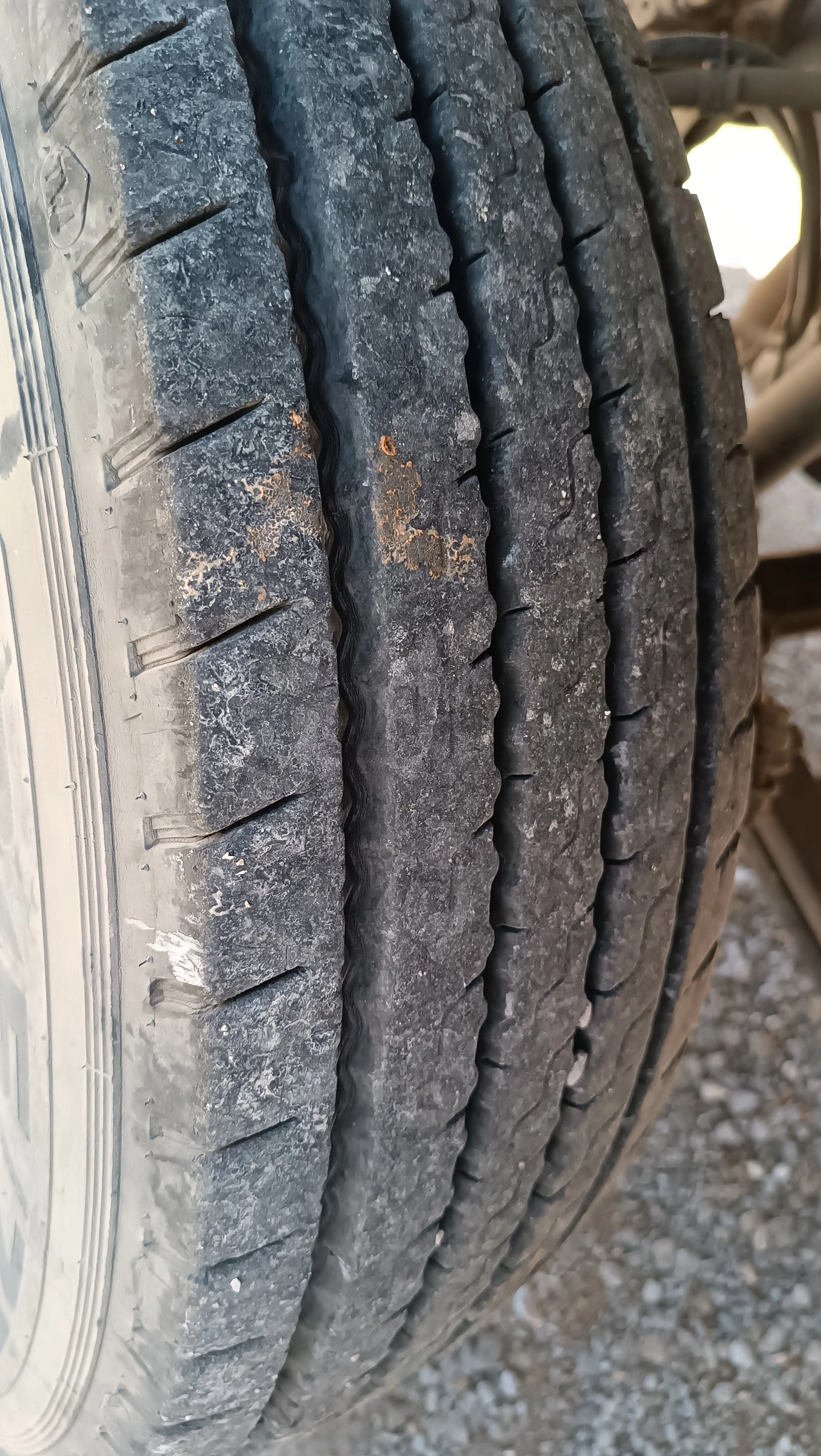 Man 8.185  - изображение 8