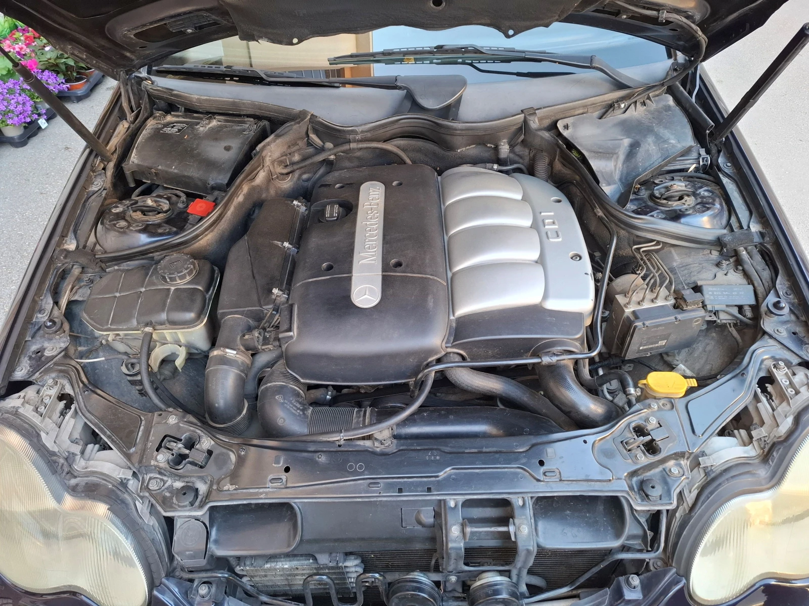 Mercedes-Benz C 220  - изображение 6