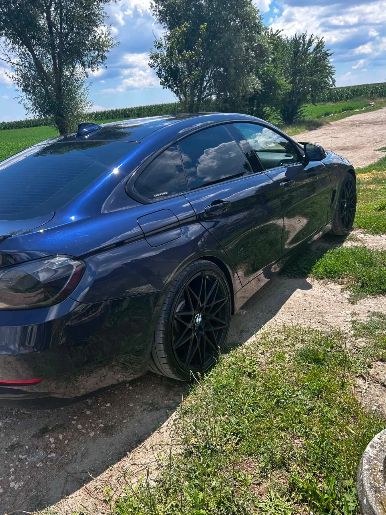 BMW 435 Grand Coupe, снимка 3 - Автомобили и джипове - 55479926