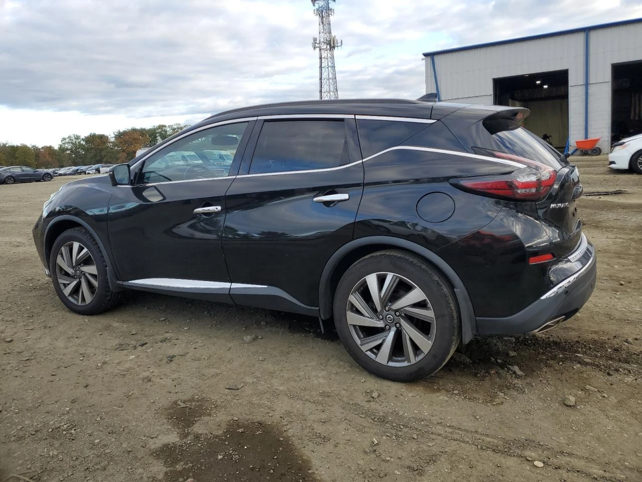 Nissan Murano 3.5V6* S - изображение 6