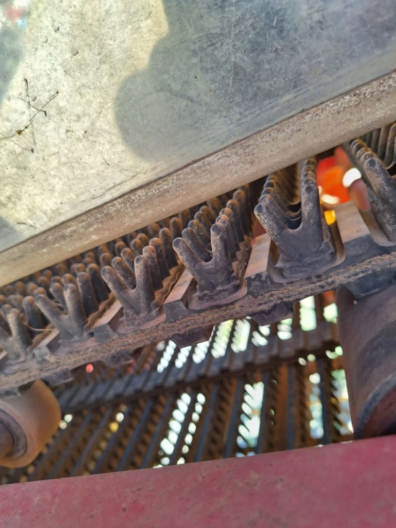 Специализирани машини Машини за зеленчуци GRIMME SE140, снимка 9 - Селскостопанска техника - 50573106