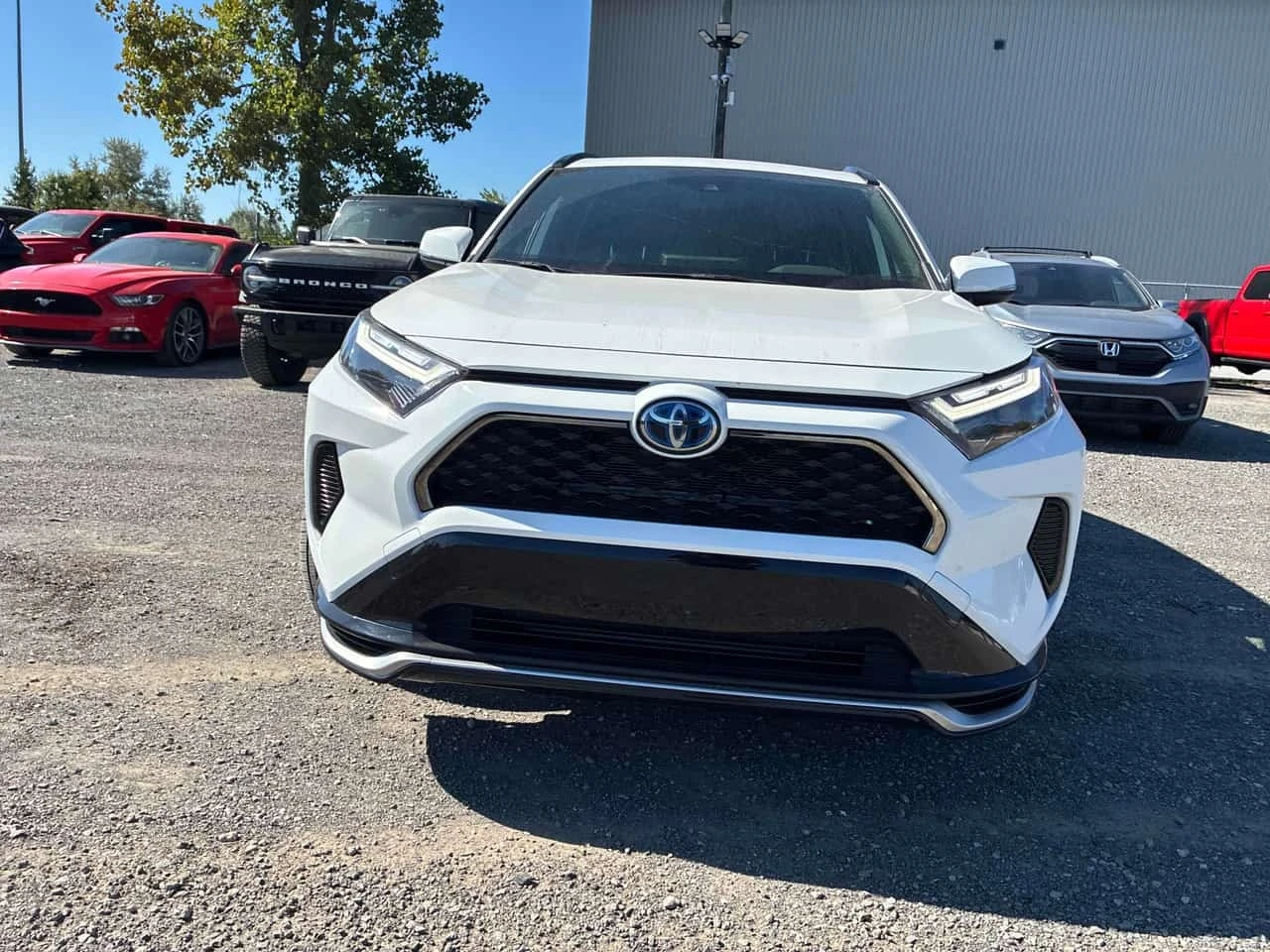 Toyota Rav4 AWD | CARFAX | БЕЗ ИНЦИДЕНТИ, снимка 2 - Автомобили и джипове - 56239778