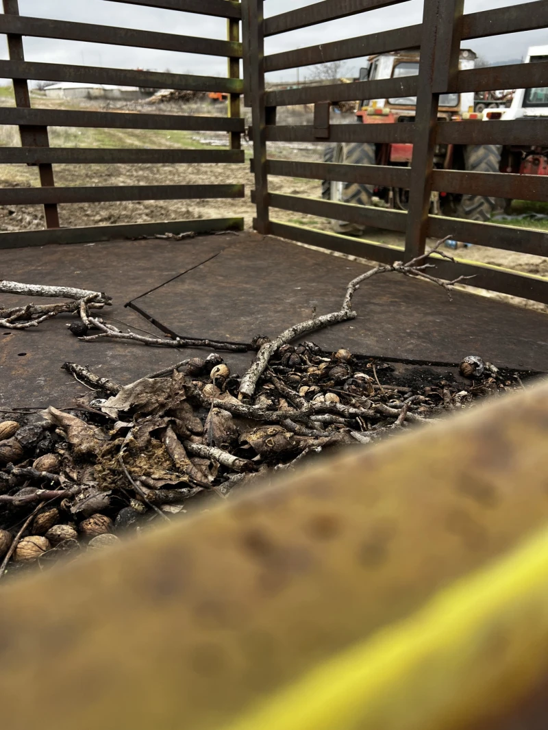 Mercedes-Benz UNIMOG, снимка 7 - Камиони - 53396115