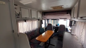      Frankia I 590