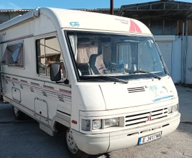      Frankia I 590