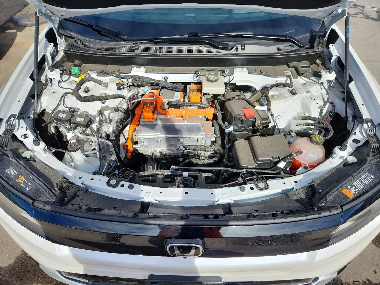 Honda e Prologue ELITE | ������� ����� |  | Mobile.bg � ����������� 12