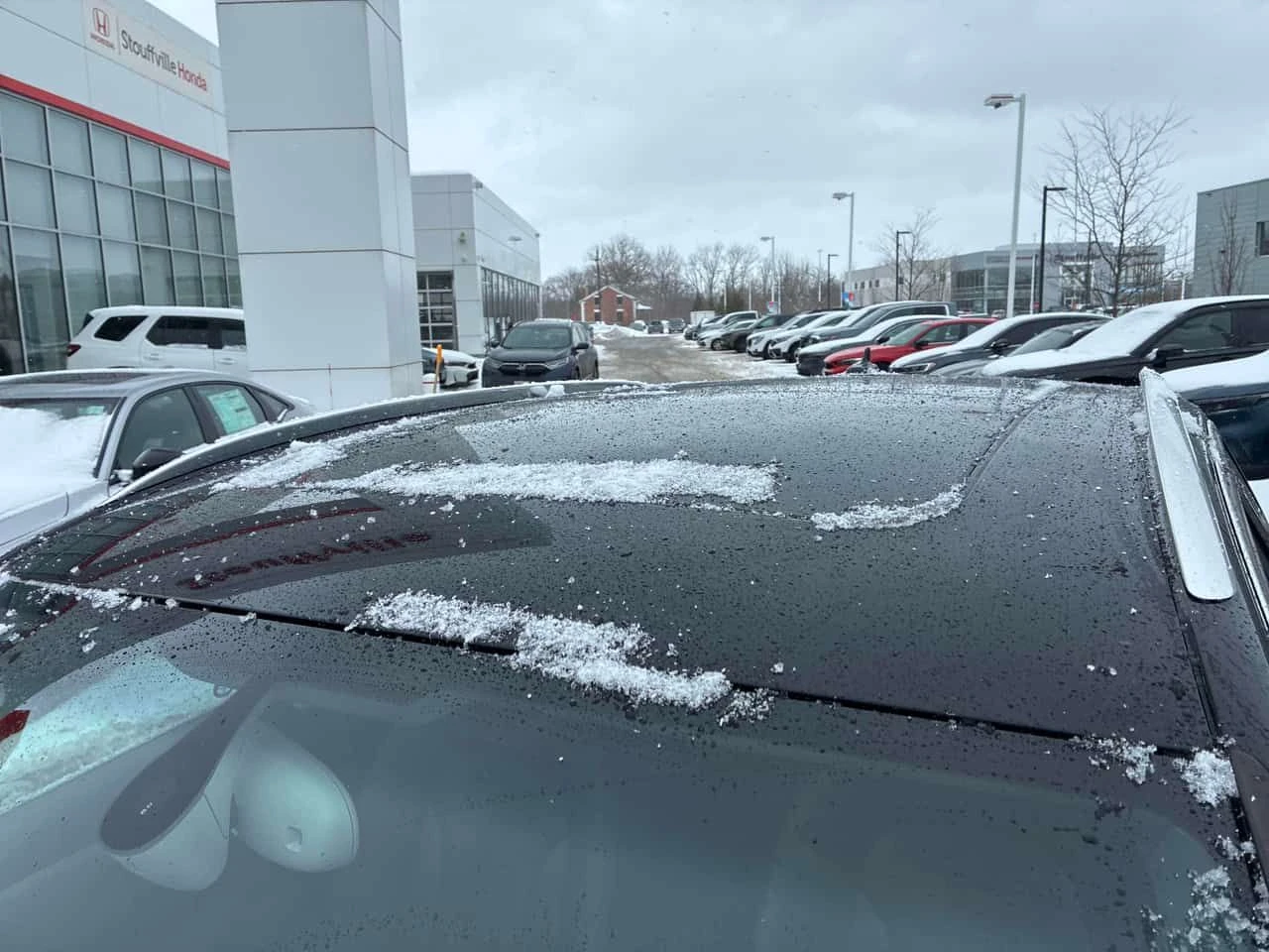 Audi Q3 * Progressiv * ����������* ����* ����* ������� | Mobile.bg � ����������� 13