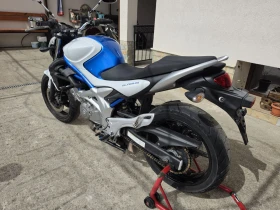 Suzuki Gladius 650i | Auto.bg — изображение 3