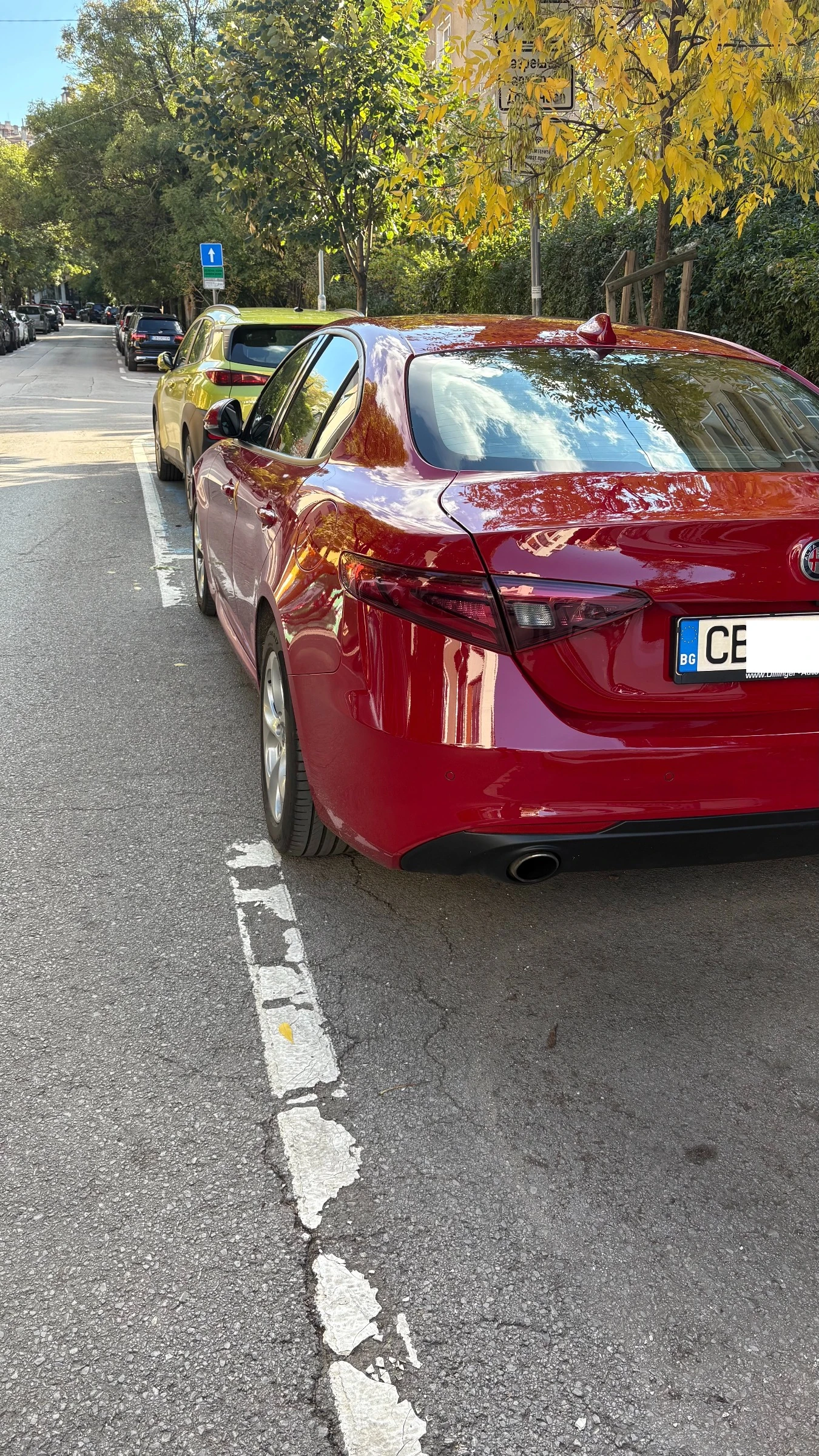 Alfa Romeo Giulia, снимка 3 - Автомобили и джипове - 53993778