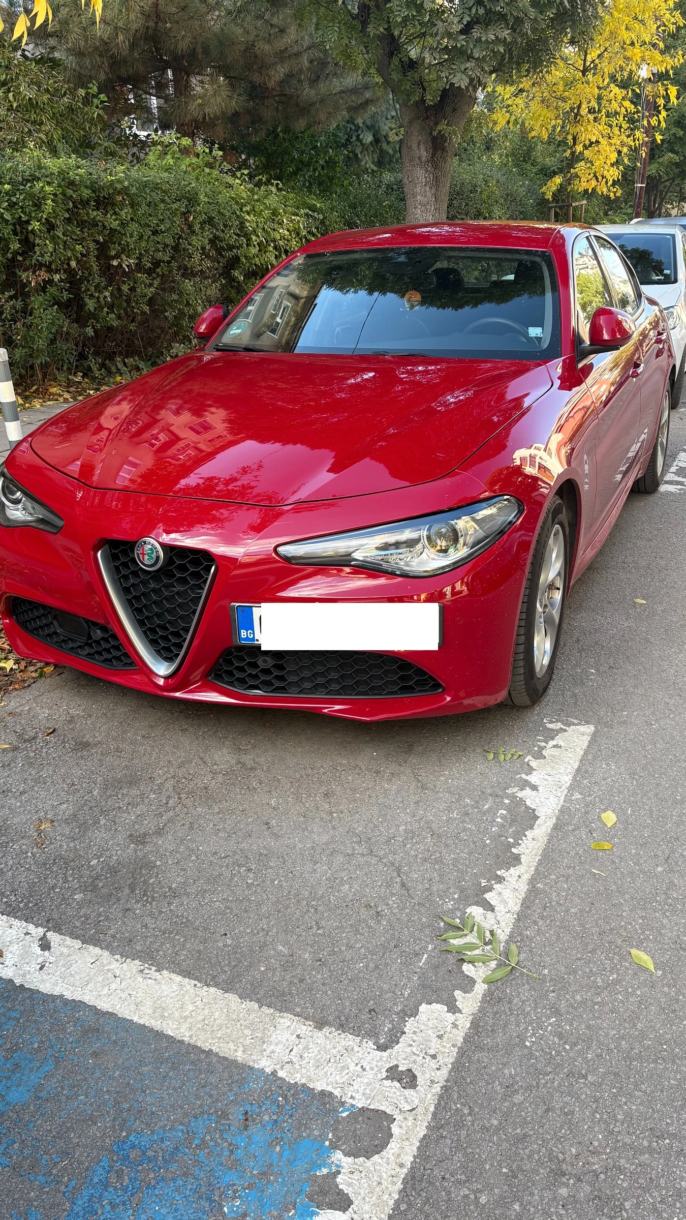 Alfa Romeo Giulia undefined | Auto.bg — изображение 1