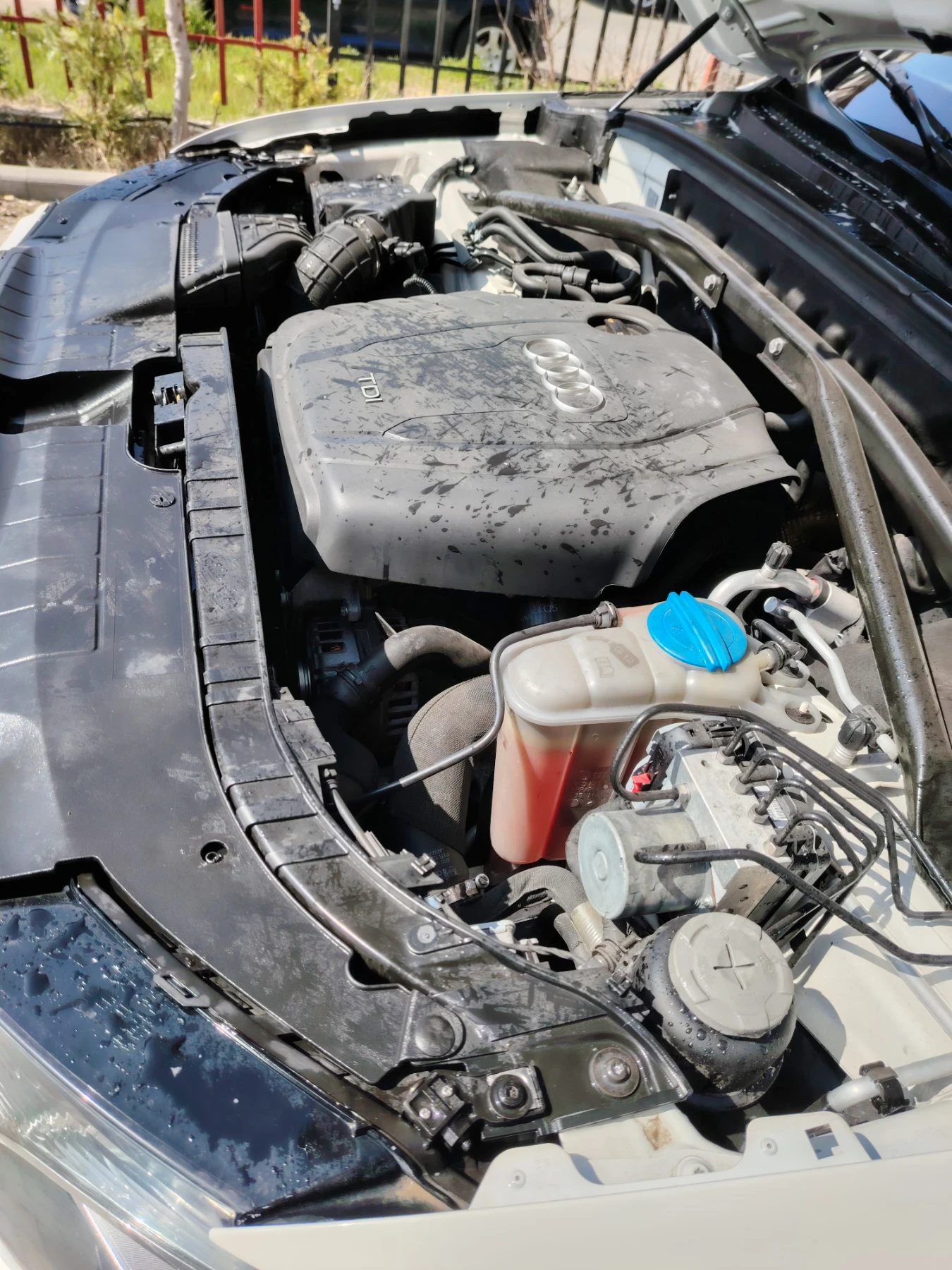 Audi Q5 20 TDi170 S  LINE  | Mobile.bg � ����������� 13