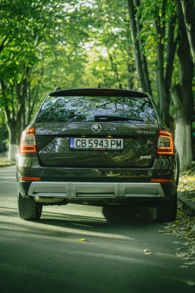 Skoda Octavia Scout 2.0 TDI 4x4 DSG6 184, снимка 10