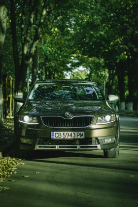 Skoda Octavia Scout 2.0 TDI 4x4 DSG6 184, снимка 9