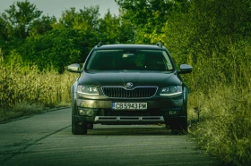 Skoda Octavia Scout 2.0 TDI 4x4 DSG6 184, снимка 2