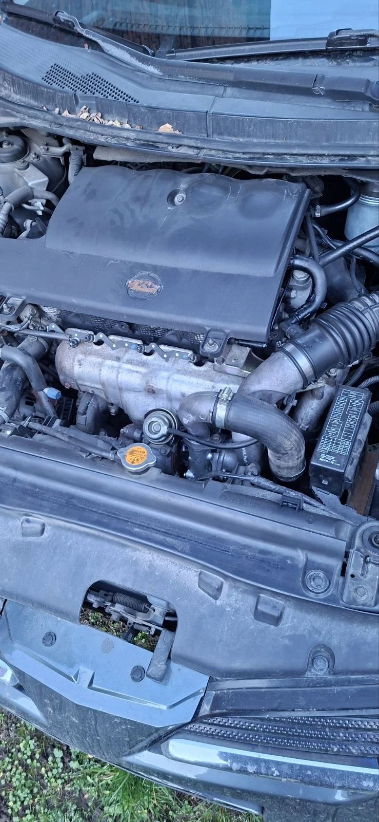 Nissan Primera  - изображение 3