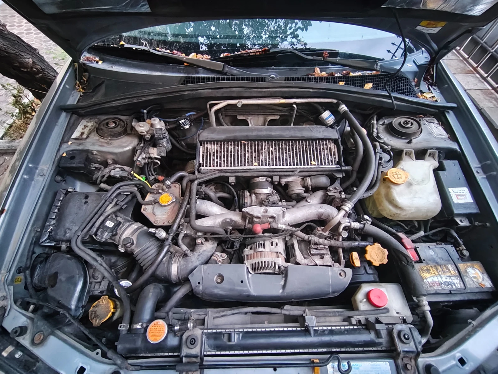 Subaru Forester  - изображение 2